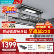 HOTATA 好太太 电动智能晾衣架D-3066S