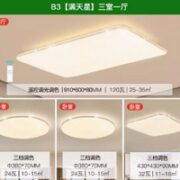 雷士照明 led小米米家灯具套餐三室一厅 5灯！满天星