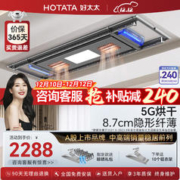 HOTATA 好太太 电动智能隐形晾衣架照明烘干风干杀菌语音全功能隐藏式阳台晾衣架 D-3181+20衣架：烘干风干消毒