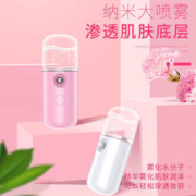 居佳优 补水喷雾仪家用脸部面部加湿喷雾器冷喷机手持 颜色+款式