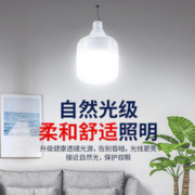surepower 速豹 2023款太阳能户外庭院灯室内充电灯农村大门口家用照明一拖二路灯