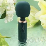 京东PLUS：轻喃 5号 艾薇棒 绿/粉