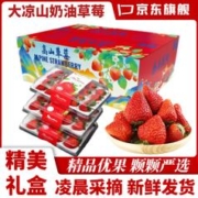 傻鲜森 四川大凉山草莓 99红颜奶油草莓 新鲜水果酸甜草莓礼盒 大果 1盒