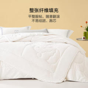 BLISS 百丽丝 大豆抗菌春秋被 220*240cm