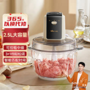 Bear 小熊 家用绞肉机可调粗细碎肉机电动绞馅机多功能料理搅拌打肉2.5L