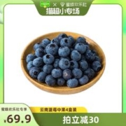果园密码 国产云南蓝莓 4盒装 125g 果径14mm+