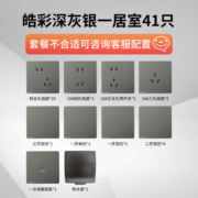 西门子（SIEMENS） 【清单报价】皓彩深灰银无边框大面板 开关插座面板家用暗装86型 一居室41只
