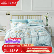 FUANNA 富安娜 四件套 天丝套件床上用品夏季冰凉丝滑套件高档贡缎水洗床单被套 80支天丝四件套—清韵 1.5米床(203*229cm)