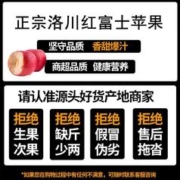 中国地标 陕西延安洛川红富士苹果新鲜当季脆甜冰糖心时令水果 洛川精选苹果4枚75-80mm