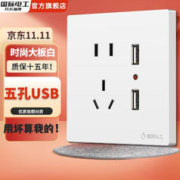 fdd 国际电工 86型装饰插座面板白色开关插座 五孔带双USB插座