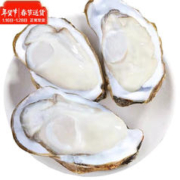 郝家记 牧海翁 乳山生蚝 鲜活大号 XXXL 5斤装 约18只