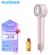 FLYCO 飞科 高速电吹风机 FH6371
