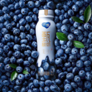 PLUS会员、需入会：蒙牛纯甄甄酸奶蓝莓味230g×10瓶（礼盒装）长白山寒地蓝莓 礼盒