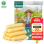 华田禾邦 云南拇指小玉米500g 零0添加儿童糯玉米 早餐代餐 手指甜黏玉米