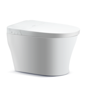 飞利浦（PHILIPS）智能马桶 3D曲面抗菌恒温座圈 离坐自动冲水 智能坐便器AIB6407