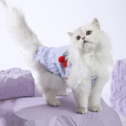 Hoopet 猫咪衣服薄款夏季防掉毛布偶金吉拉宠物幼猫猫猫夏天可爱背心小猫