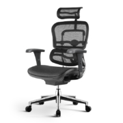 聚划算百亿补贴：Ergonor 保友办公家具 金豪B 2代 人体工学电脑椅 Q3.0