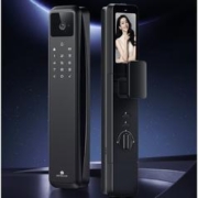 DESMAN 德施曼 Q50MVPro 掌静脉智能门锁