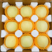 JINSHA 金沙 封坛原浆 53%vol 酱香型白酒 1500ml*2坛 整箱装