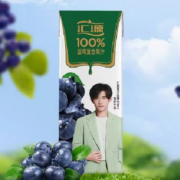 88VIP、需福袋：汇源 100% 果味饮料 西梅蓝莓汁200ml*12两口味