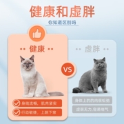 好适嘉（HEALTH GUARD）98k猫罐头低脂餐罐 全价猫粮主食罐猫咪湿粮拌饭 鸡鸭牛配方170g