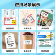 精臣 B21服装食品珠宝智能标签打印机 热敏手持便携式超市价格预约二维码商品不干胶吊牌珠宝贴纸配料表 B21 绿色（单机，需购买标签纸）