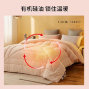 SOMERELLE 安睡宝 A类七孔抗菌冬被 150*215cm