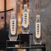 沱牌舍得 沱牌特级T68 50度 480mL 6瓶 整箱 浓香型白酒