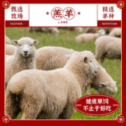 88VIP会员：茶牛 年货礼盒新西兰原切羊排1800g高端送人好礼