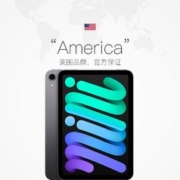 Apple 苹果 iPad mini 8.3英寸平板电脑iPadmini6海外版 64g