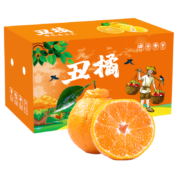 鲜菓篮 四川丑橘5斤（单果65-75mm)*2件
