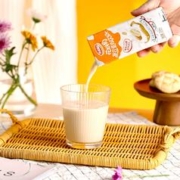 达利园花生牛奶整箱装250ml*24盒