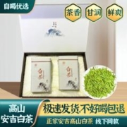 源聞白茶 茶叶绿茶 200g