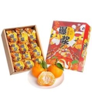 特价秒杀！正宗四川春见耙耙柑 9斤装 精选果王 80mm-100mm