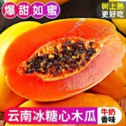 云南红心木瓜新鲜水果批发价牛奶冰糖心木瓜牛奶正宗大果