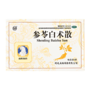 扁鹊 参苓白术散 3盒