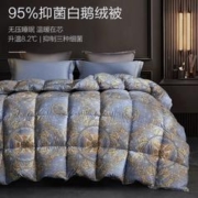 BEYOND 博洋 可水洗95白鹅绒被子冬被冬季被芯双人春秋被冬天加厚羽绒被（150×210mm）