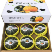 ZHIO 正宗新鲜栗香小南瓜 优选贝贝南瓜5斤