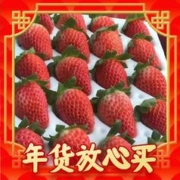 萧鲜生 限量1000箱！红颜99草莓 净重5斤装
