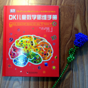 DK儿童数学思维手册