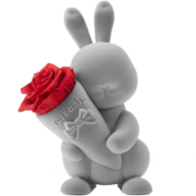 諾誓ROSEONLY永生花玫瑰兔甜心兔礼盒送女友生日纪念日情人节礼物