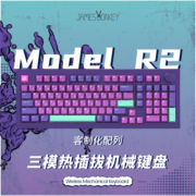 贱驴R2铝坨坨机械键盘三模无线98配列Gasket结构客制化RGB套件