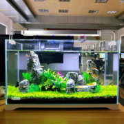 专业高清制品：SUNSUN 森森 超白玻璃小鱼缸 HWK-280P裸缸款 含底座