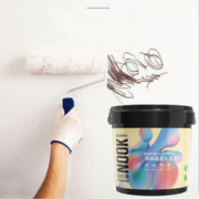 CARPOLY 嘉宝莉 墙面补墙漆 白色 1kg