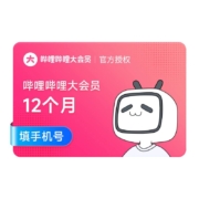 B站大会员哔哩哔哩会员12个月年卡