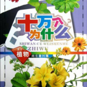 关于植物的有趣问题-十万个为什么/童书 / 科普/百科/书籍