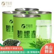 梦龙韵 绿茶碧螺春茶浓香型茶叶2023年早春新茶鲜爽绿茶散装罐装有礼袋 碧螺春125g*4罐