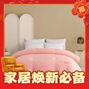 AIDLI 加厚保暖大豆纤维冬被 8斤 200*230cm