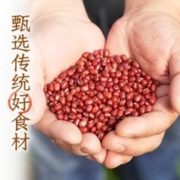 88VIP会员：元气森林 出品自在水红豆薏米0糖0脂500mL*12瓶清爽不腻饮料整箱