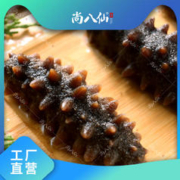 尚八仙 鲜蒸即食海参解冻即食刺参
